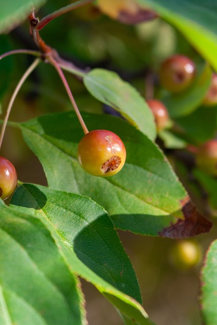 火爆，辽超总决赛大连队vs本溪队共有55678名观众观战